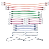 Certified Standard Bungee Cord Kit, Assorted Sizes, 26-pk